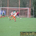 zdjęcie nr 16