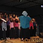 zdjęcie nr 71