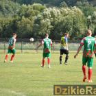 zdjęcie nr 13