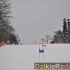 Fotka nr 2 z 274