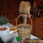zdjęcie nr 111