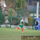 zdjęcie nr 10