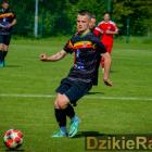 zdjęcie nr 14