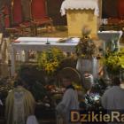 zdjęcie nr 30
