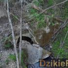 zdjęcie nr 15