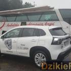 zdjęcie nr 22