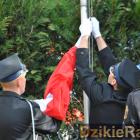 zdjęcie nr 158