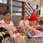 zdjęcie nr 13