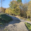 zdjęcie nr 