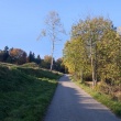 zdjęcie nr 