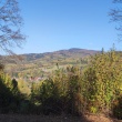 zdjęcie nr 
