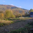 zdjęcie nr 