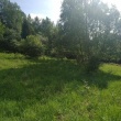 zdjęcie nr 