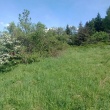zdjęcie nr 