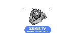 Logo DzikieRadio
