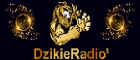 Żywiec DzikieRadio.pl