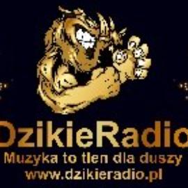 DzikieRadio®