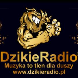 DzikieRadio®