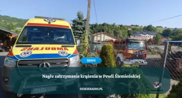 Nagłe zatrzymanie krążenia w Pewli Ślemieńskiej – Strażacy i Ratownicy walczyli o życie mężczyzny