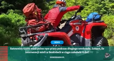 Intensywny długi weekend dla ratowników GOPR – 36 akcji ratunkowych w cztery dni