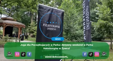 Joga dla Początkujących w Parku Habsburgów – aktywna sobota w Żywcu!