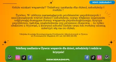 Gdzie szukać wsparcia? Telefony zaufania dla dzieci, młodzieży i rodzin