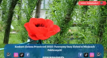 WFOŚiGW Katowice zaprasza do udziału w konkursie „ZIELONA PRZESTRZEŃ 2025” – III edycja. Zdobądź dofinansowanie na tereny zielone w miastach i gminach już teraz!