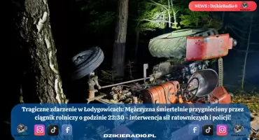 Tragiczny wypadek w lesie pod Łodygowicami