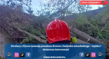 Drzewo runęło na budynek – szybka interwencja strażaków w Żywcu