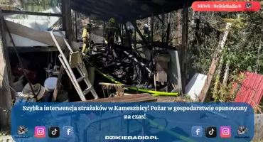 Pożar w Kamesznicy: szybka akcja strażaków uratowała dobytek