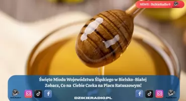 Święto Miodu Województwa Śląskiego w Bielsku-Białej 2025: Edukacja, Smaki i Zabawa dla Całych Rodzin.