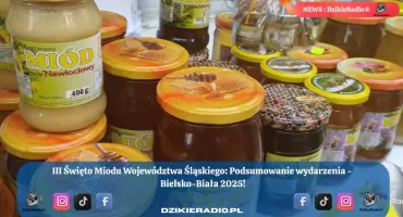 Święto Miodu w Bielsku-Białej 2025: Wspaniała Integracja Społeczności i Edukacja o Pszczołach.