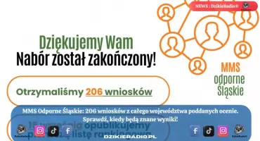 Nabór wniosków w ramach programu Moc Małych Społeczności – Odporne Śląskie zakończony! Sprawdź, co dalej!