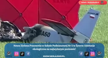 Wypadek lotniczy  typu Zodiak w miejscowości Lipowa