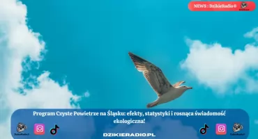 Program Czyste Powietrze na Śląsku: Rośnie świadomość ekologiczna i oszczędności energii!