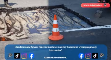 Prace drogowe na ul. Kopernika spowolnią ruch