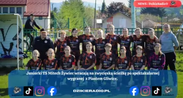 TS Mitech Żywiec wraca na zwycięską ścieżkę po imponującym zwycięstwie z Piastem Gliwice. 