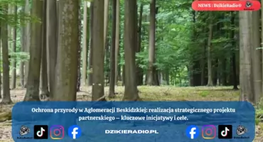 Nowy rozdział dla beskidzkiej przyrody: Powiat Żywiecki rusza z ambitnym projektem ekologicznym