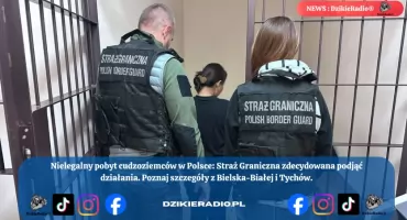 Nielegalny pobyt i praca w Tychach – cudzoziemcy zobowiązani do opuszczenia Polski