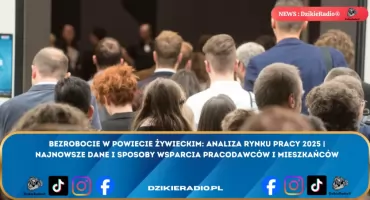 Rynek pracy w Powiecie Żywieckim: obszary stabilności kontra narastająca niepewność zawodowa