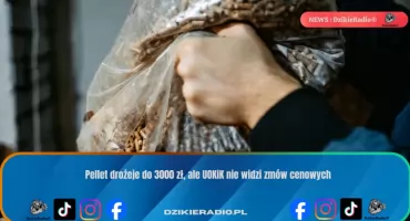 Kryzys pelletowy: rosnące ceny i brak na sklepowych półkach wywołują obawy