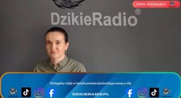 Nielegalne rajdy w lasach powiatu żywieckiego rosną w siłę