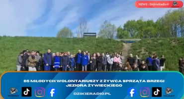 65 młodych wolontariuszy z Żywca sprząta brzegi Jeziora Żywieckiego