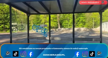 Akt wandalizmu na nowym przystanku w Kamesznicy zmusza do reakcji samorządu
