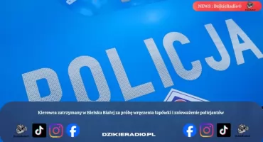 Kierowca zatrzymany w Bielsku Białej za próbę wręczenia łapówki i znieważenie policjantów