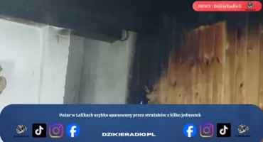 Pożar w Lalikach szybko opanowany przez strażaków z kilku jednostek