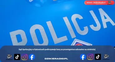 Sąd Apelacyjny w Katowicach podtrzymuje karę za przestępstwa seksualne na nieletniej