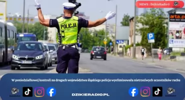 Śląska akcja Trzeźwość zatrzymała pijanych kierowców na drogach regionu