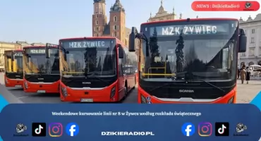 Weekendowe kursowanie linii nr 8 w Żywcu według rozkładu świątecznego