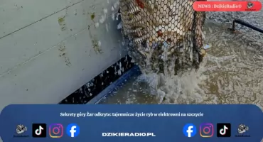 Sekrety góry Żar odkryte: tajemnicze życie ryb w elektrowni na szczycie